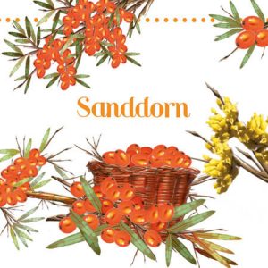 Cocktail Napkin - Sea Buckthorn