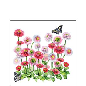 Cocktail Napkin - Bellis