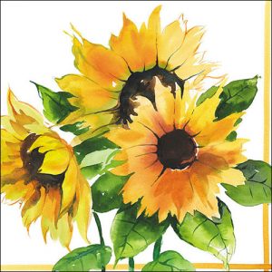Lunch Napkin - Girasoli
