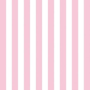 Lunch Napkin - Stripes ROSE