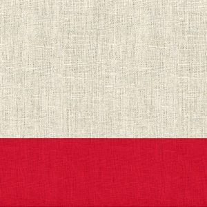 Lunch Napkin - Linen RED