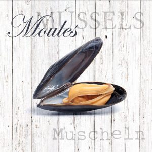 Lunch Napkin - Moules