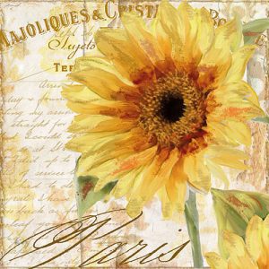 Lunch Napkin - Tournesol
