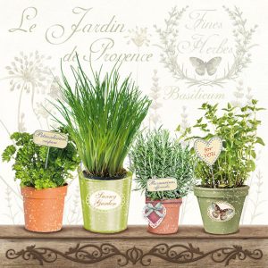 Lunch Napkin - Le Jardin De Provence