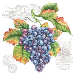 Lunch Napkin - Grape Vine