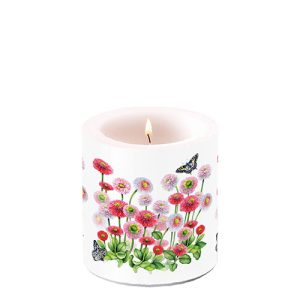 Candle SMALL - Bellis