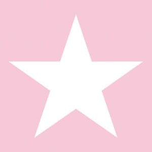 Cocktail Napkin - Star ROSE