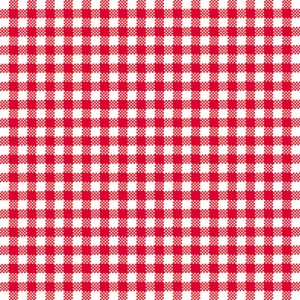 Lunch Napkin - Vichy RED