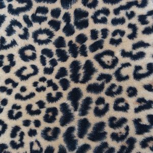 Lunch Napkin - Wildlife Pattern