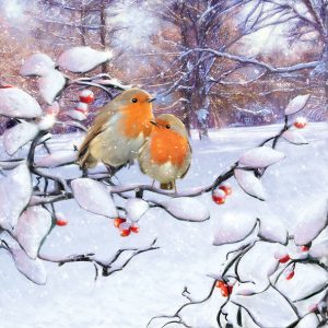 Lunch Napkin - Robins On Branch