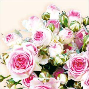 Lunch Napkin - Maxima CREAM