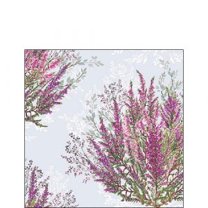 Cocktail Napkin - Calluna