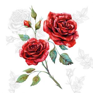 Cocktail Napkin - Grace