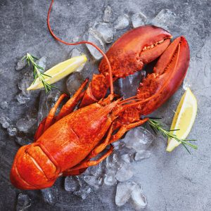 Lunch Napkin - Fresh Lobster