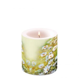 Candle SMALL - Facing The Sun