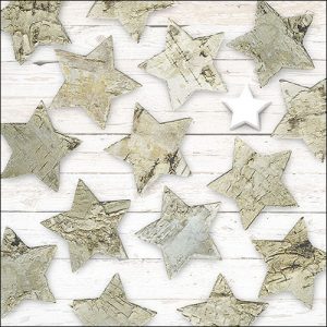 Lunch Napkin - Birch Stars