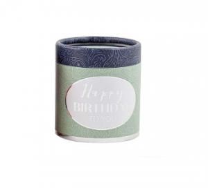 Music Box with Storage (ELEGANT Collection) - Happy Birthday Box PALE GREEN