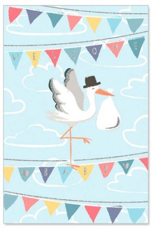 Greeting Card (Baby) - Stork Delivery