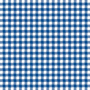 Lunch Napkin - Vichy BLUE