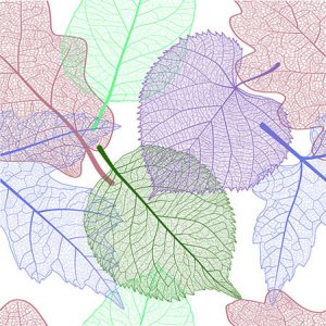Cocktail Napkin - Skeleton Leaves