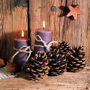 Cocktail Napkin - Winter Candles