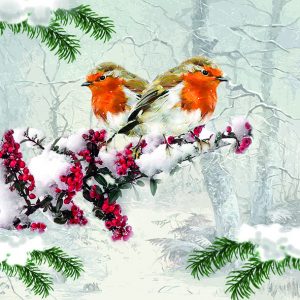 Lunch Napkin - Winter Birds