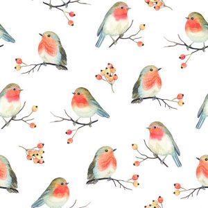 Lunch Napkin - Robin Family