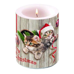 Candle LARGE - Curious Kittens