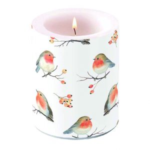 Candle LARGE - Robin Family