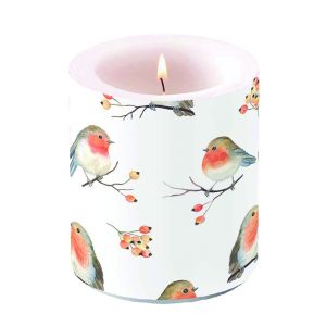 Candle MEDIUM - Robin Family