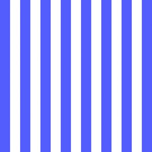 Lunch Napkin - Stripes Peri