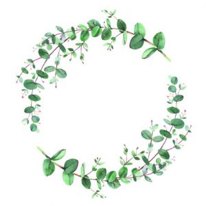 Cocktail Napkin - Eucalyptus Branch White