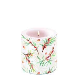 Candle SMALL - Sea Buckthorn