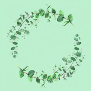 Cocktail Napkin - Eucalyptus Branch Green