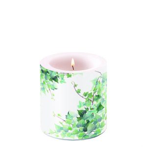 Candle SMALL - Hedera
