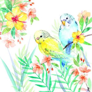 Lunch Napkin - Budgies Couple