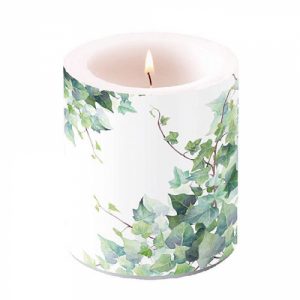 Candle MEDIUM - Hedera White