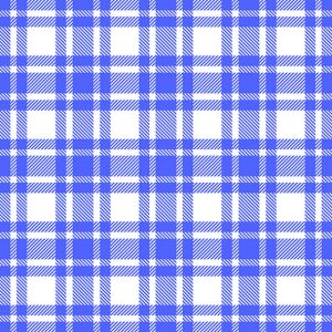 Lunch Napkin - Checkered Pattern Peri