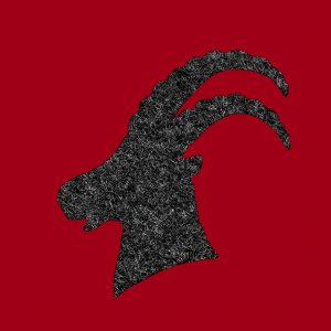 Lunch Napkin - Capricorn Red