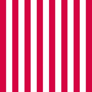 Lunch Napkin - Stripes Red