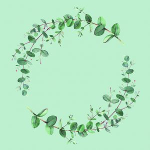 Lunch Napkin - Eucalyptus Branch Green