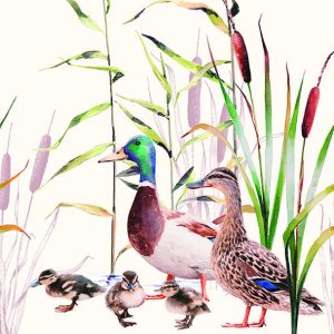 Lunch Napkin - Ducks Couple
