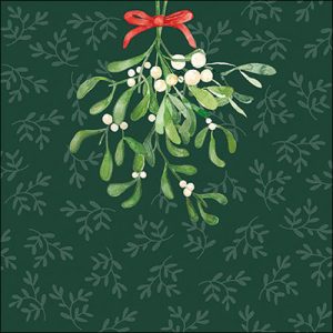 Lunch Napkin - Hanging mistletoe green