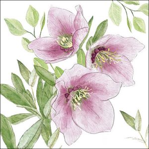 Lunch Napkin - Classic helleborus