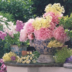 Lunch Napkin - Potted Flowers