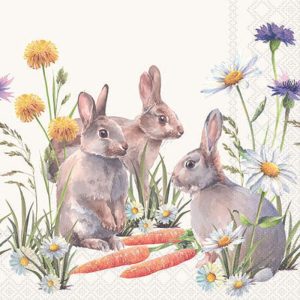 Cocktail Napkin - Carrot Treat