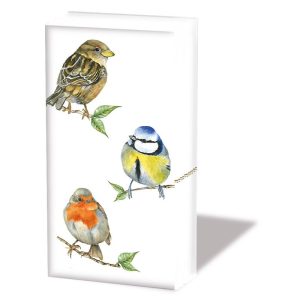 Pocket Tissue - Bird Species WHITE