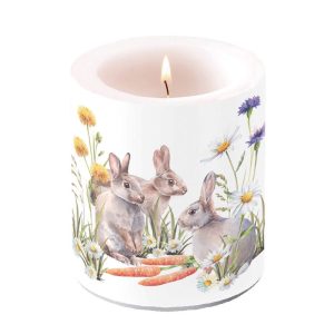 Candle MEDIUM - Carrot Treat
