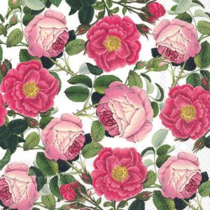 Cocktail Napkin - Rosaline WHITE