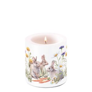 Candle SMALL - Carrot Treat
